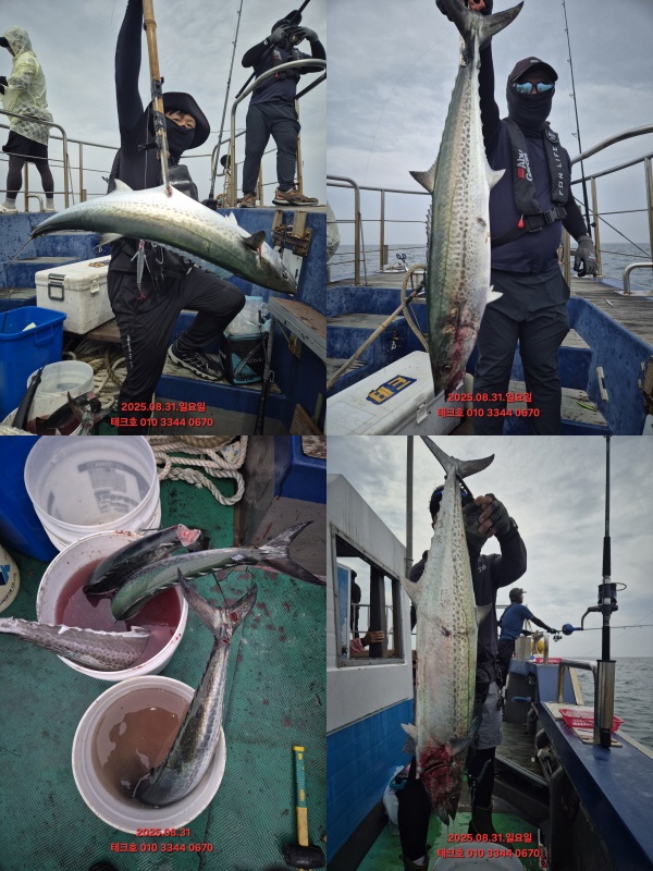KakaoTalk_20250831_201751054_03.jpg