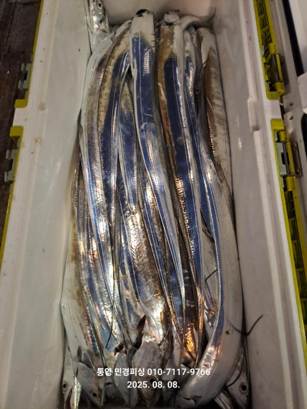 586CC930-B001-43E0-912C-256638EA18F2.jpeg