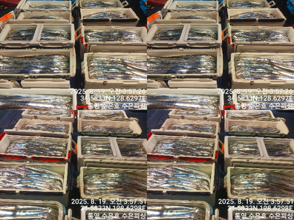 1755550104948-tile.jpg