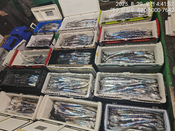 KakaoTalk_20250829_181212955_11.jpg