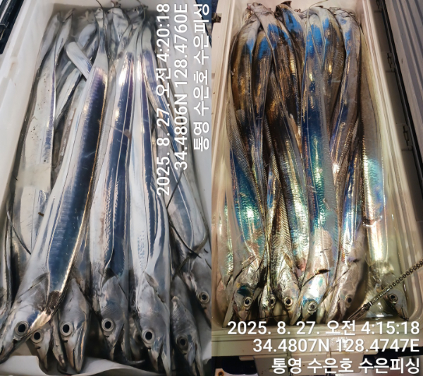 1756244280828-tile.jpg