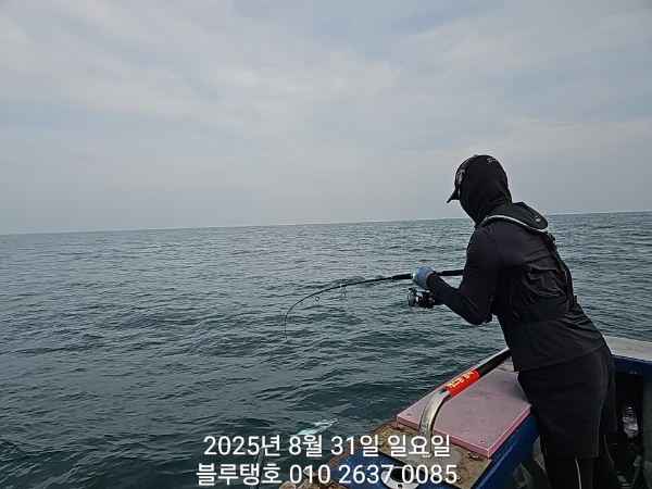 20250831_163108.jpg
