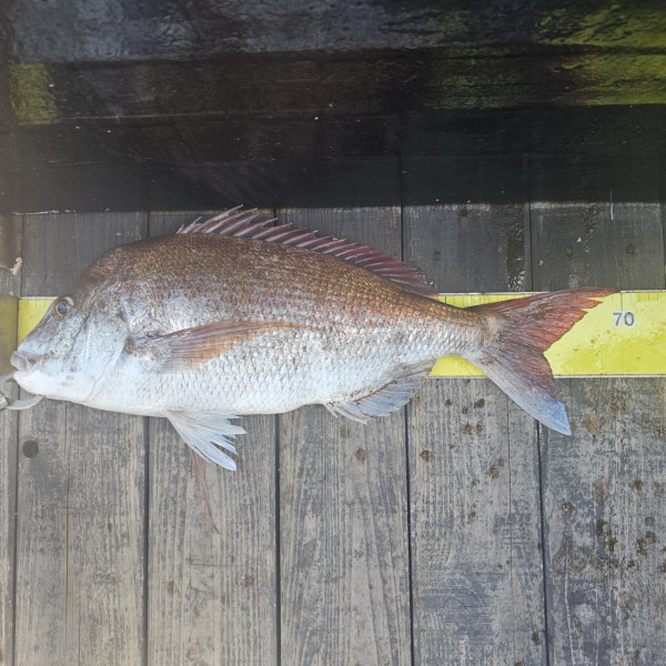 마검포 대한호(VIP)_사진_20250816_4.jpg