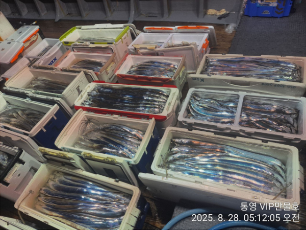 BandPhoto_2025_08_28_05_22_48_8.jpg