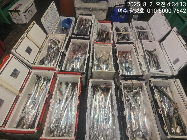 KakaoTalk_20250802_072714062_13.jpg
