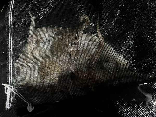 KakaoTalk_Photo_2025-08-31-19-11-33 016.jpeg