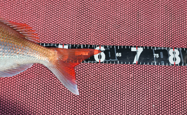 1000042077.jpg