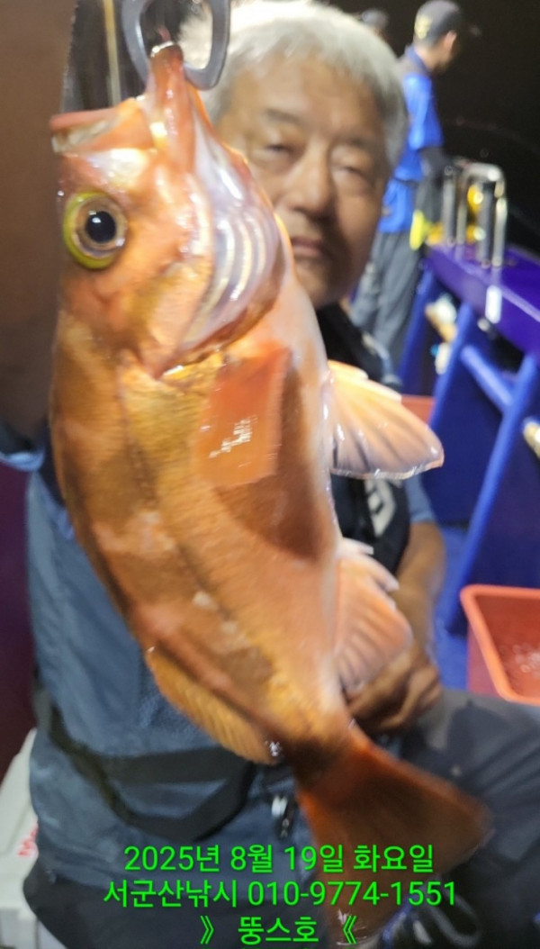군산 선상낚시, 바다낚시 출조 전문 ☆서군산낚시☆_사진_20250820_20.jpg