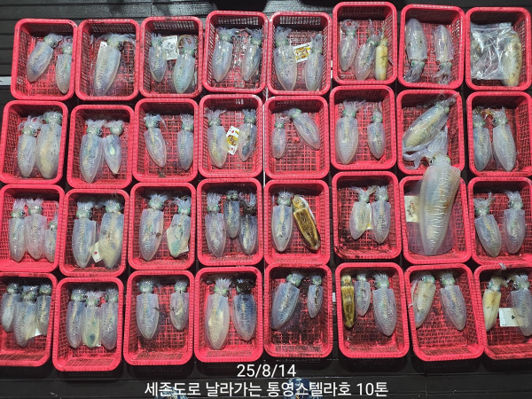 191.jpg