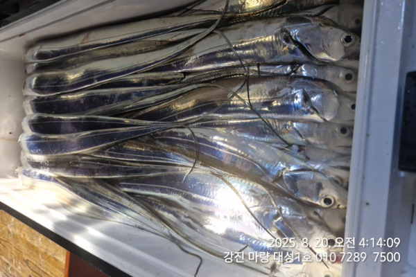 9188deb0cb58fa5ccc6171fa112e34c1.jpg