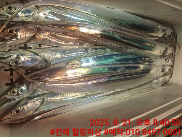 KakaoTalk_20250821_211055597_04.jpg