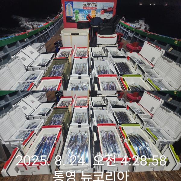 1000070363.jpg
