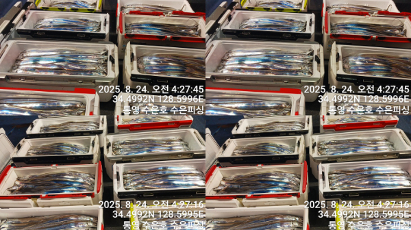 1755985129700-tile.jpg