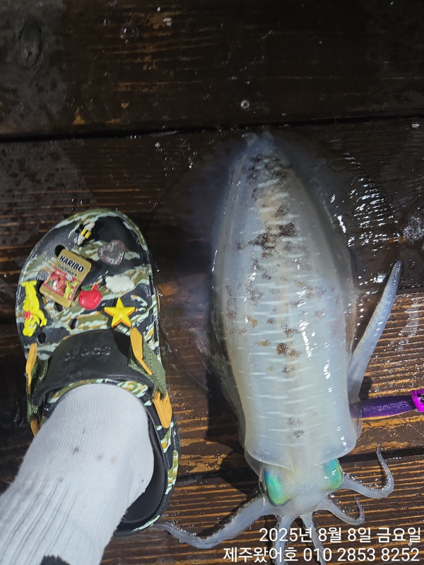 제주왔어호_사진_20250808_18.jpg