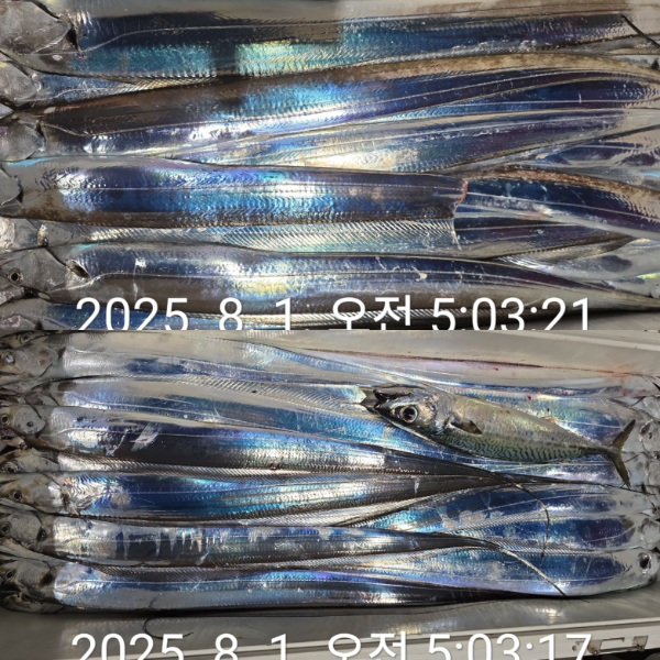 1000068228.jpg