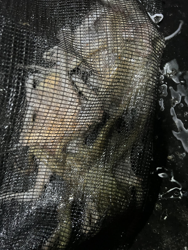 KakaoTalk_Photo_2025-08-31-19-11-33 017.jpeg