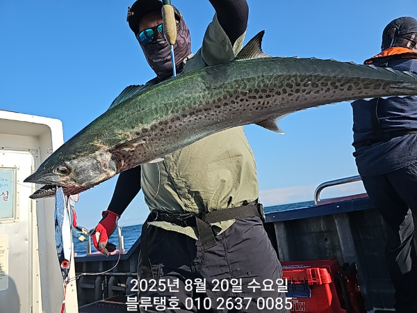 20250820_171520.jpg