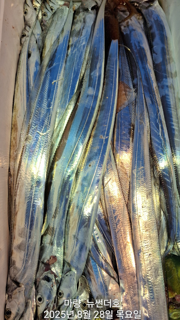 932a6227f483c7006d3d897733d8a834.jpg