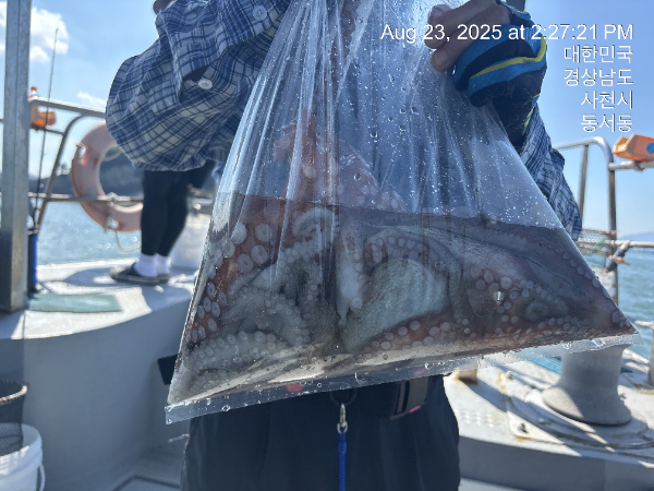 KakaoTalk_20250825_100201975_08.jpg