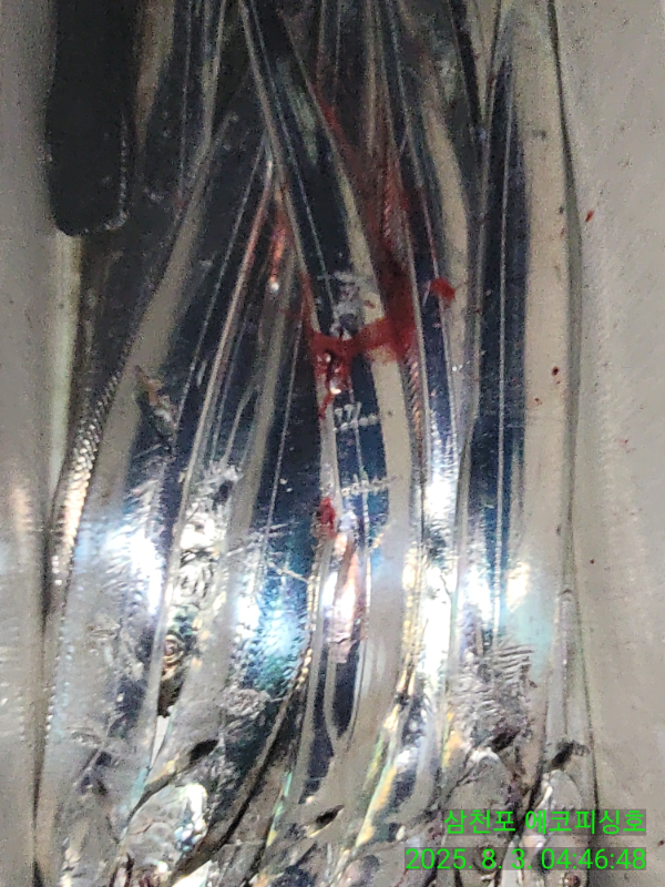 93a28dfa265af5641a04c8206830c795.jpg
