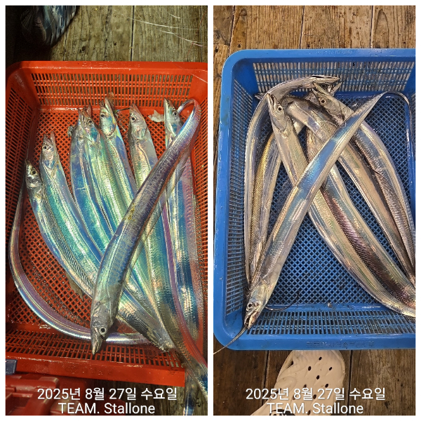 1000040013.jpg