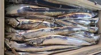 Screenshot 2025-08-01 at 18.21.30.JPG