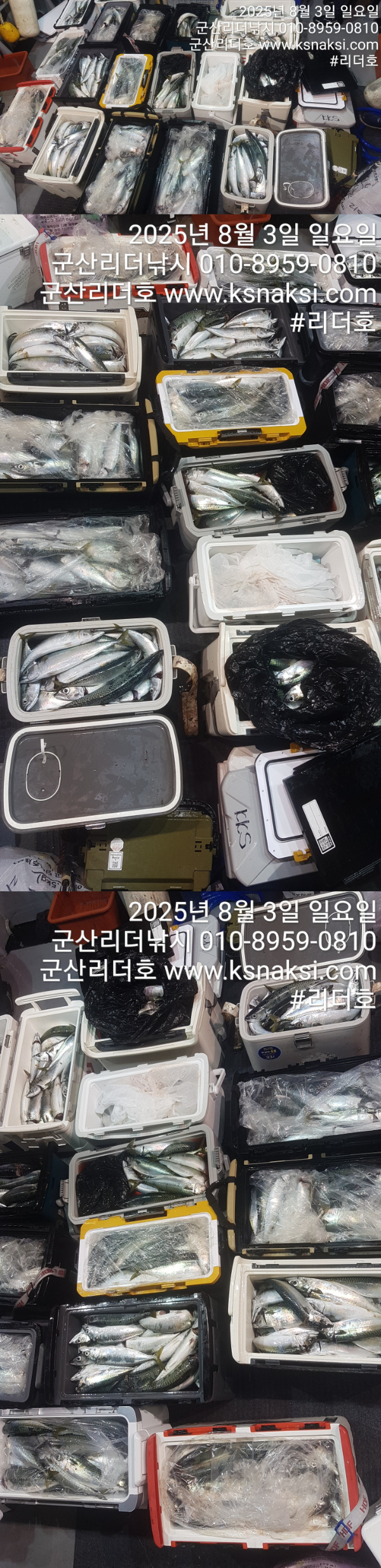0803고등전체.jpg