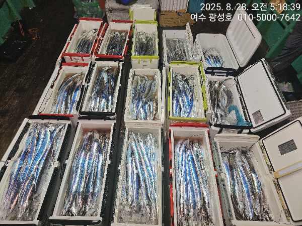 KakaoTalk_20250828_184111505_19.jpg