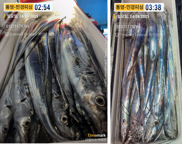 이미지.jpeg