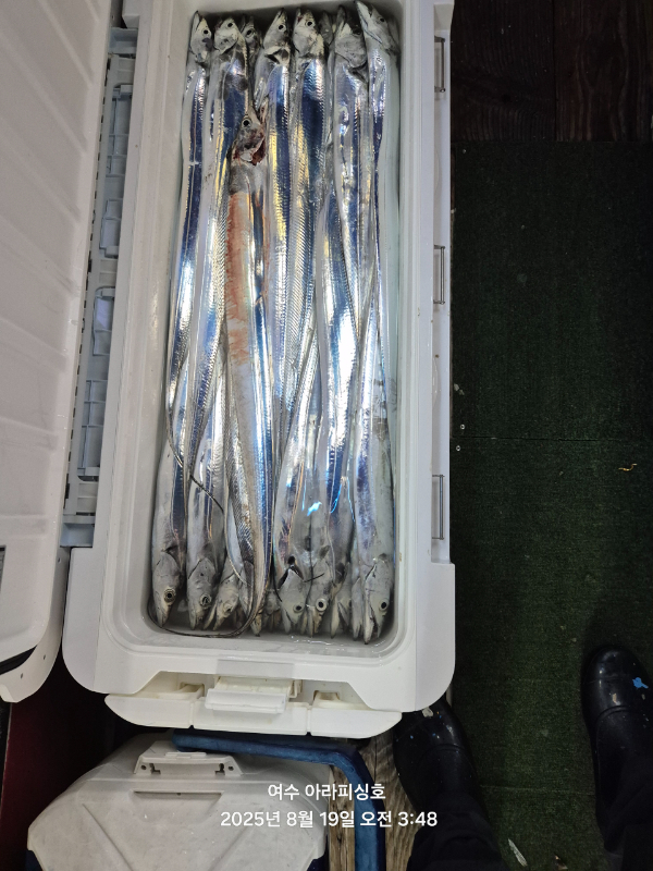 Resized_20250819_034831.jpeg