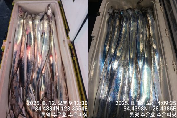 1755003693729-tile.jpg