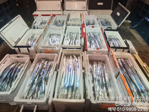 95f82186ee1fea59cc72cc40902bb7bb.jpg