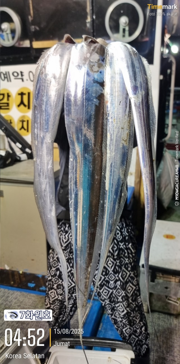 35F654EF-3071-4732-B9F0-F44E9F21F1E0.jpeg
