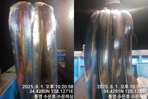 1754081627220-tile.jpg