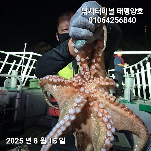 KakaoTalk_20250815_024506761_08.jpg