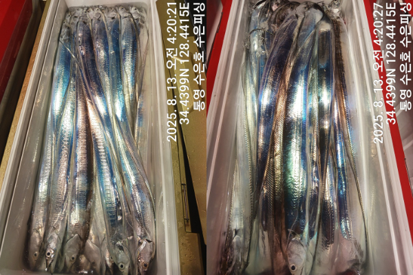 1755027076090-tile.jpg