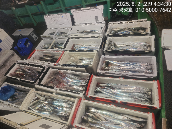 KakaoTalk_20250802_072714062_08.jpg