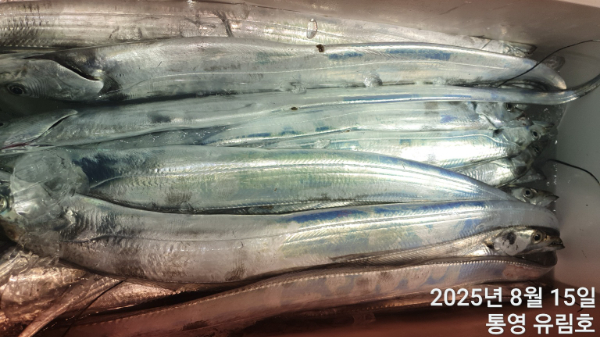 97cd035b16aa439ecb3025c8060e7ca2.jpg