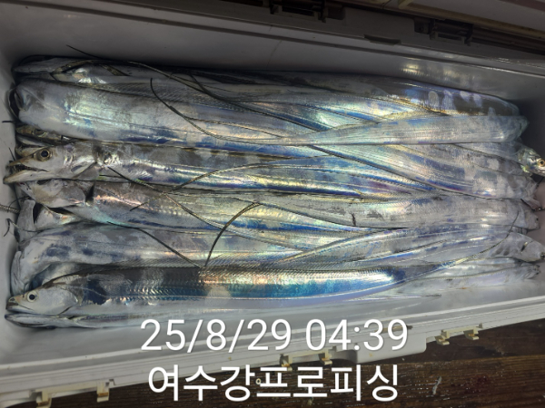 97ddc3f3872eb51f4a574c9f915442c7.jpg