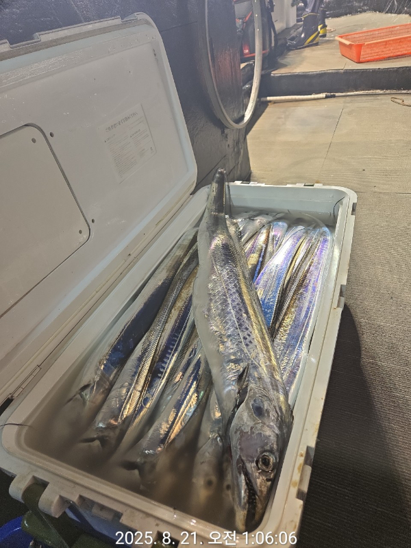 제주선상낚시피닉스호_사진_20250821_9.jpg