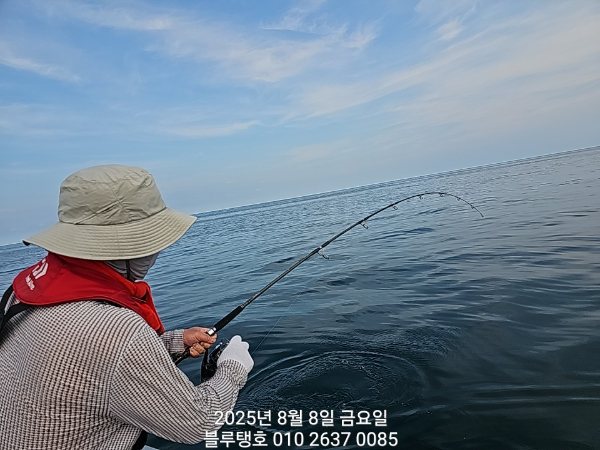 20250808_162735.jpg