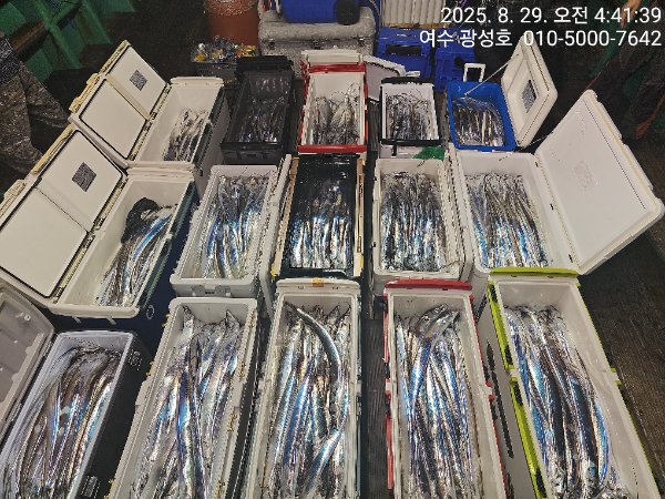 KakaoTalk_20250829_181212955_12.jpg