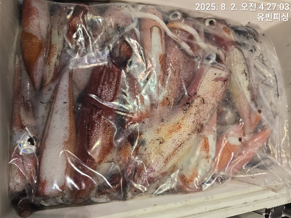 KakaoTalk_20250802_075812194_16.jpg