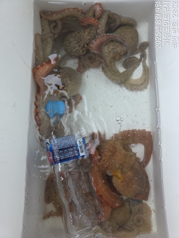 KakaoTalk_20250810_120346045_07.jpg