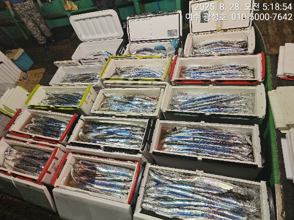 KakaoTalk_20250828_184111505_14.jpg