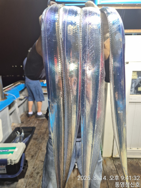 바다의 전설 부평25_사진_20250815_5.jpg