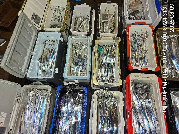 IMG_20250809_050600.jpg