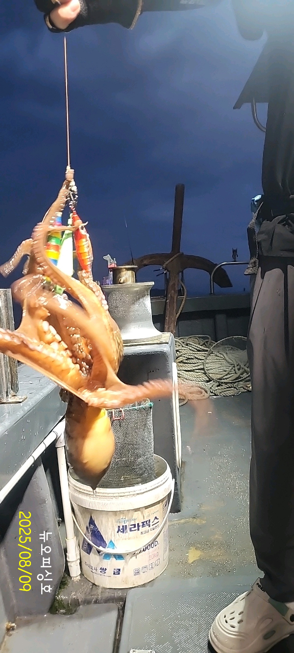 DateCamera0809052559.jpg