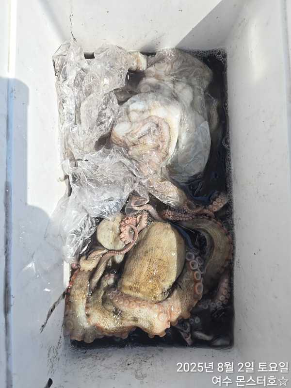 BandPhoto_2025_08_02_17_04_17 (2).jpg