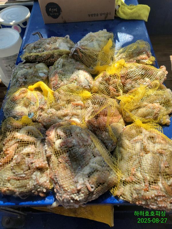 IMG_20250827_143101.jpg